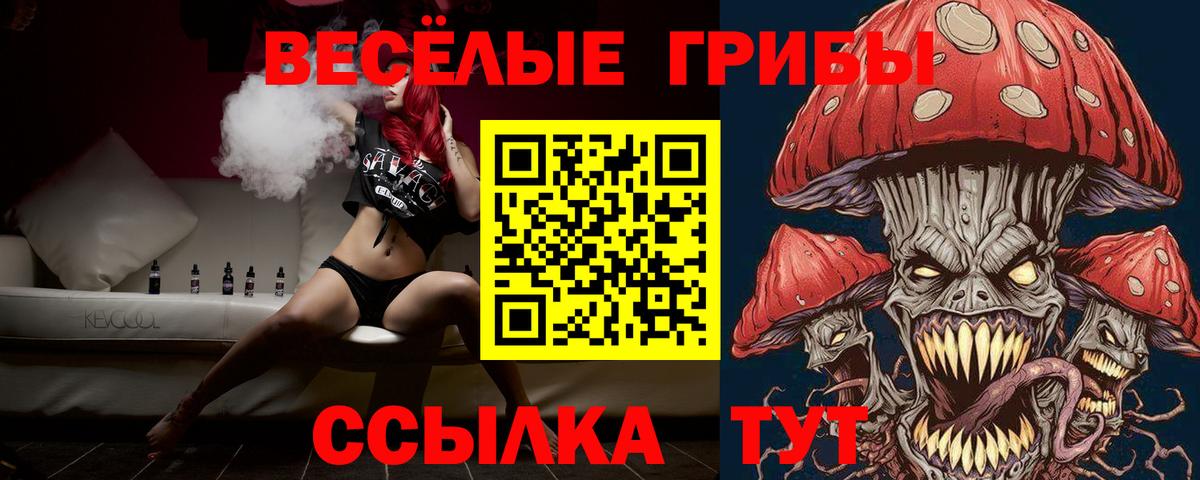 Галлюциногенные грибы Psilocybine cubensis Шахты