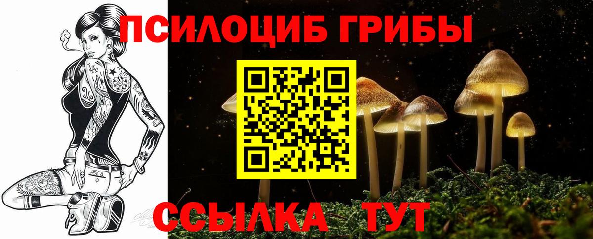 Шахты  Галлюциногенные грибы Magic Shrooms  Вход с VPN 